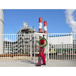 Locinox DINO Dobbelt-Leje hngsel til smedejernsport (2 stk.)